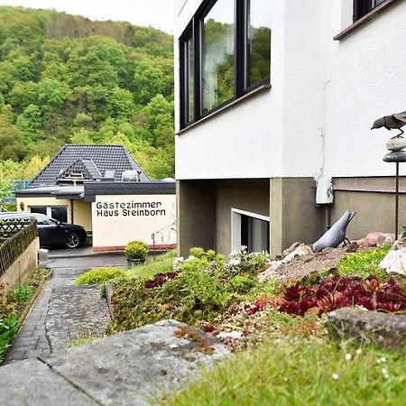 Hotel Gaestehaus Steinborn Heimbach Exterior foto